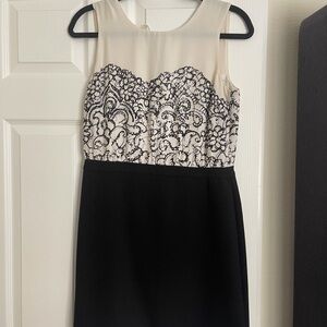 LOFT Elegant Black and Cream Midi Dress